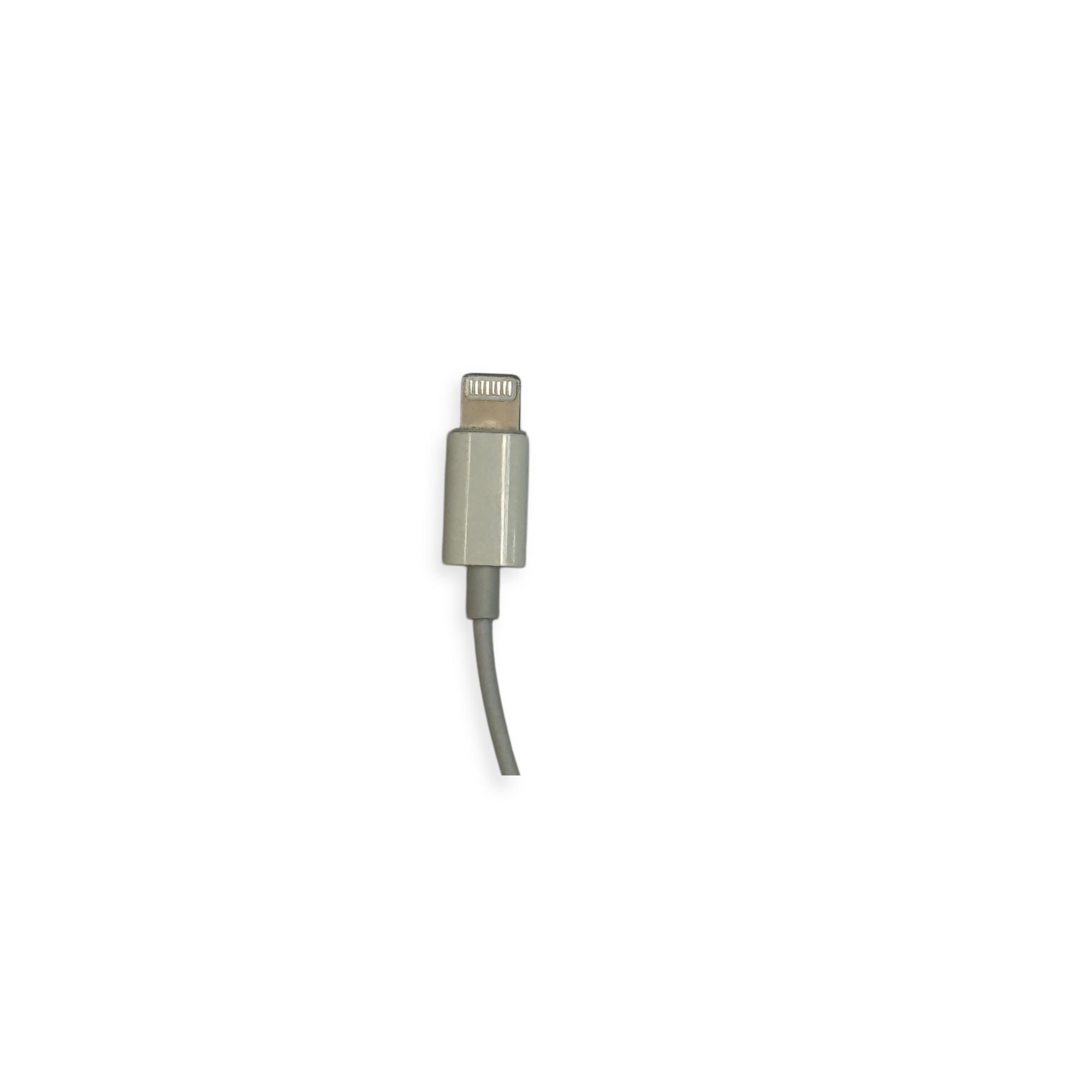 Apple EarPods with Lightning Connector photo 2